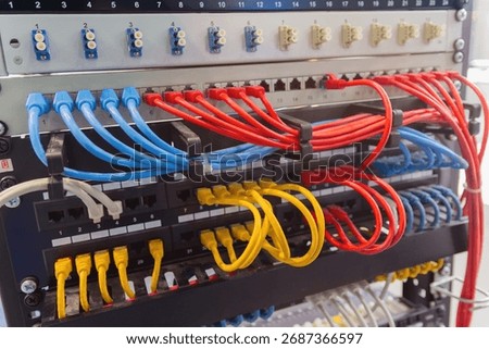 Network switch and UTP ethernet cables. Electronics
