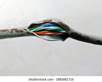 Network Utp Cable Damaged Office Peeled Stock Photo 1883681716 ...