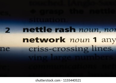 network word in a dictionary. network concept.