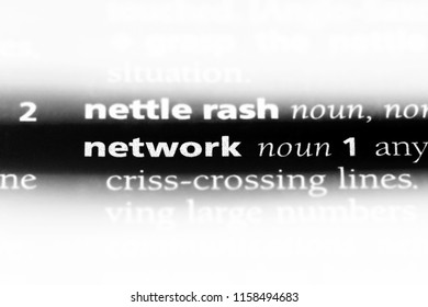 network word in a dictionary. network concept.
