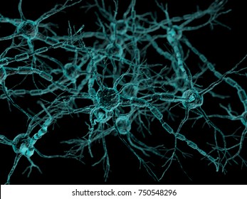 Neural Network - Neurons 