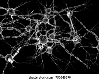 Neural Network - Neurons 