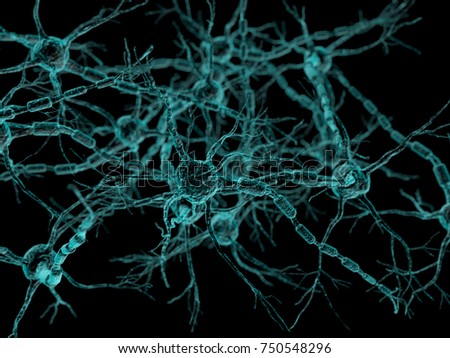 Neural network - neurons 