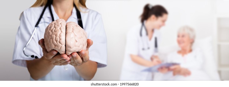 Neurologist Doctor In Hospital With Brain In Hands