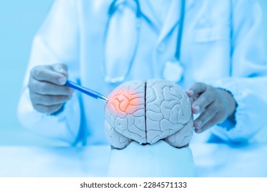 Neurologist hand pointing brain anatomy human model and brain disease lesion on white background.Part of human body model with organ system for health student study in university.Medical education. - Shutterstock ID 2284571133