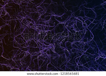 
Neuron fiber microscope