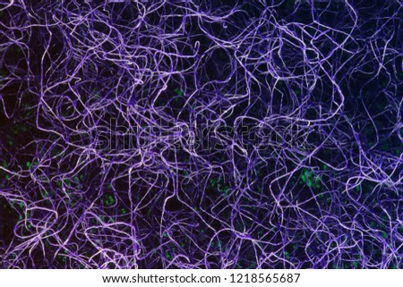 
Neuron fiber microscope