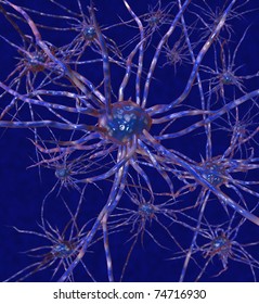 Neurons
