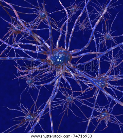 Neurons