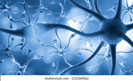 Neurons cells close up