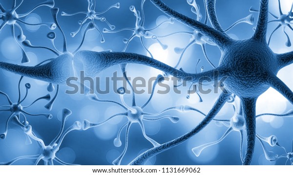 Neurons cells close\
up