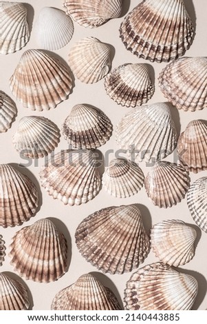 Neutral beige and white seashells pattern background.  Zen natural concept, new naturalism