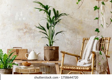 Neutral Composition Of Living Room Interior With Rattan Armchair, Wooden Bench, A Lot Of Tropical Plants In Design Pots, Decoration And Elegant Personal Accessories In Stylish Home Decor.