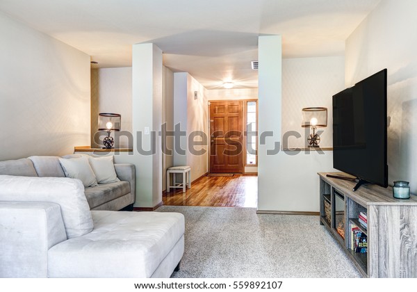 Neutral Toned Family Room Boasts L Stock Photo Edit Now 559892107