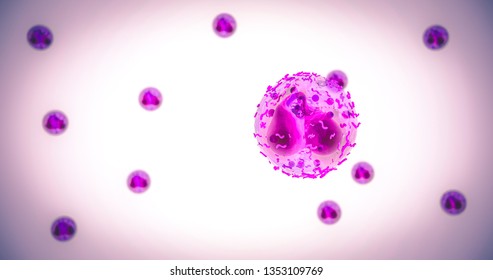 Neutrophil Cells White Blood Cells Essential For The Immune System Fighting Pathogen In Inflammation Bacterium And Cancer Cells 