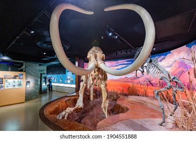 Nevada, OCT 15, 2014 - Interior view of the Nevada State Museum