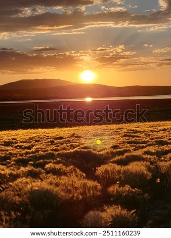 Similar – Image, Stock Photo Sunset glow over South coast Gombela seascape