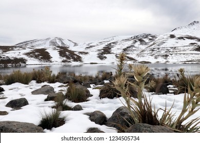 Nevado De Toluca