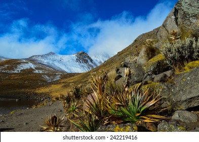 Nevado De Toluca