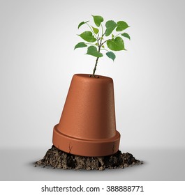 Never Give Up Hope Concept Of Persistence And The Unstoppable Force Of Nature As A Sapling Plant Emerging Out Of An Upside Down Flower Pot As A Success Metaphor And Motivation Symbol.