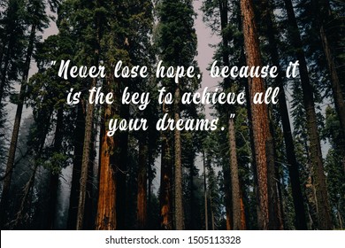 338 Never Lose Hope Images, Stock Photos & Vectors | Shutterstock