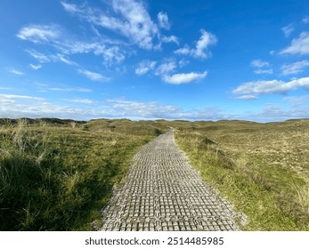 Never-ending path in the dunes