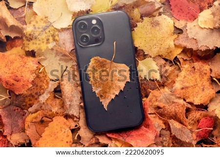 a new 13 or 14 iPhone phone on orange foliage. autumn sales of phones and gadgets cocept