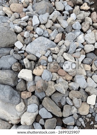 A new assemblage composed by nature 