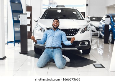 New Auto. Excited African Man Shouting Shaking Fists Celebrating Buying Car Standing On Knees In Dealership Store