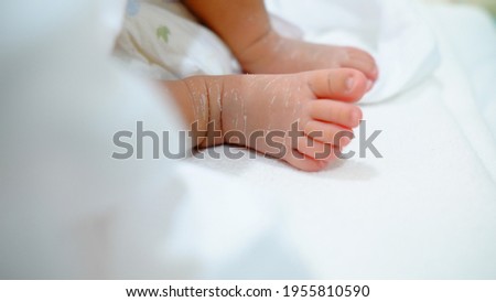 New Born Baby Feet on White Blanket.tiny baby feet closeup.
Gentle baby feet. Gentle blurred background of the feet and heels of a newborn
