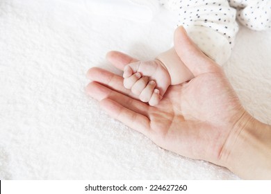 New Born Baby Hand