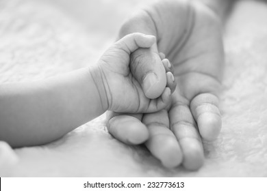 New Born Baby Hand