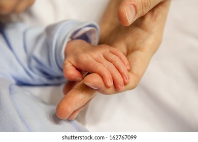 New Born Baby Hand Held By Mother