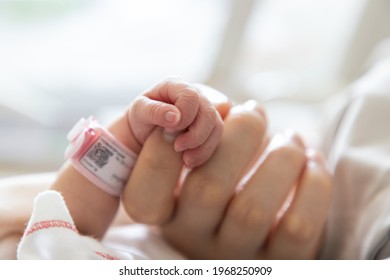 new born baby hand hold mum index finger. concept : Premature or preterm baby in hospital. relationship between mother and baby. - Shutterstock ID 1968250909