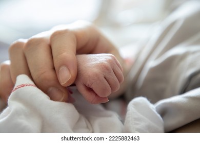 new born baby hand holded by  mum . concept : Premature or preterm baby in hospital. relationship between mother and baby.