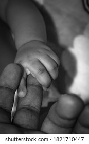 New Born Baby Holding The Finger