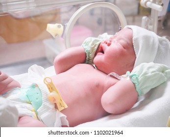 new born baby infant sleep in the incubator at hospital