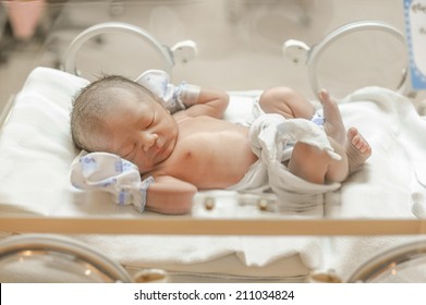 New Born Baby Sleep In Incubator.