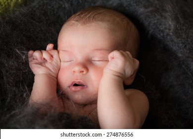 New Born Baby Is Sleeping In Downy Shawl, Lying Baby, Eyes Are Closed, Open Mouth