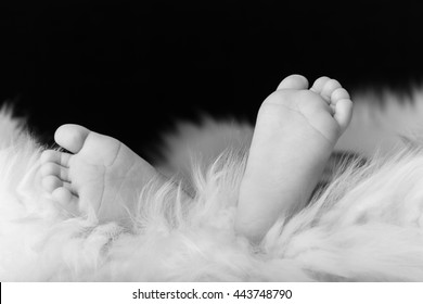 New born Baby's tiny feet's close up. black and white picture. 