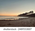 New Brighton state park near Santa Cruz, CA