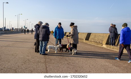 New Brighton / UK - January 1 2020: Promenade Ian Fraser Walk, Dog Walkers Meeting And Talking, New Brighton, Wallasey