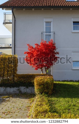 Similar – Image, Stock Photo UT I Only floating is more beautiful I Balcony
