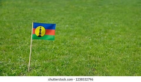 New Caledonia flag. Photo of Kanak flag on a green grass lawn background. Close up of national flag waving outdoors. - Powered by Shutterstock