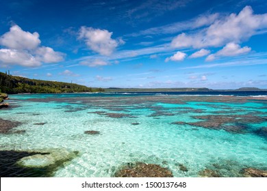 New Caledonia Loyalty Islands Male Island Coral Reef In Wabao Bay