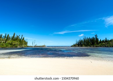 New Caledonia Loyalty Islands Male Island Mebbit Beach