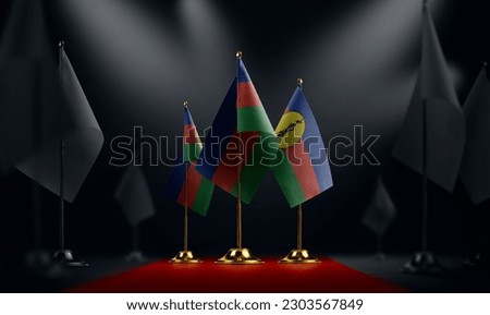 The New Caledonia national flag on the red carpet.