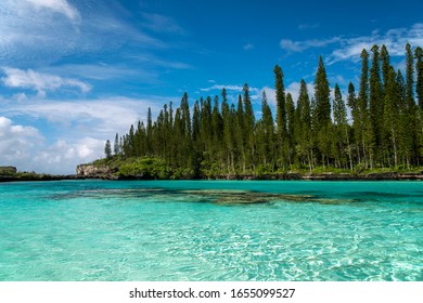 New Caledonia Royalty Islands Ile De Pan Natural Pool