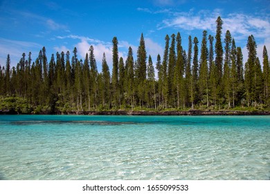 New Caledonia Royalty Islands Ile De Pan Natural Pool