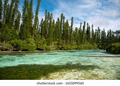 New Caledonia Royalty Islands Ile De Pan Natural Pool